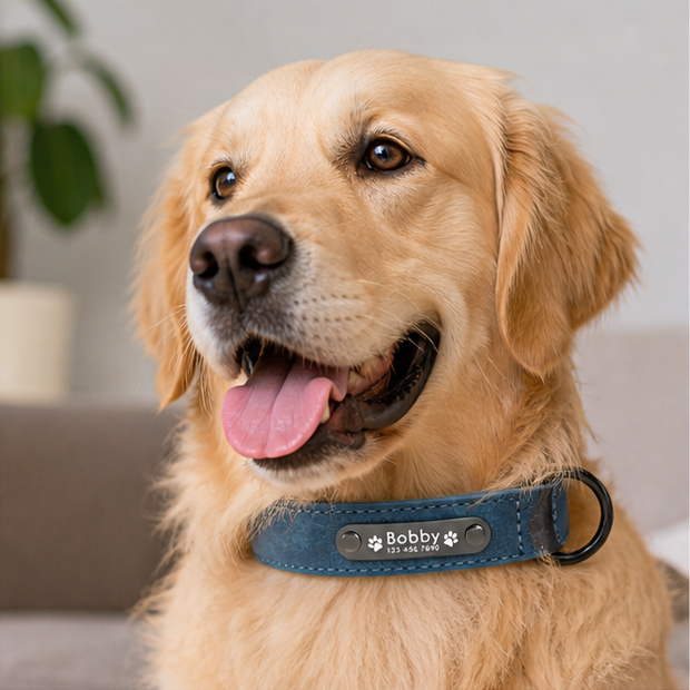 Collier ajustable pour animaux personnalisable